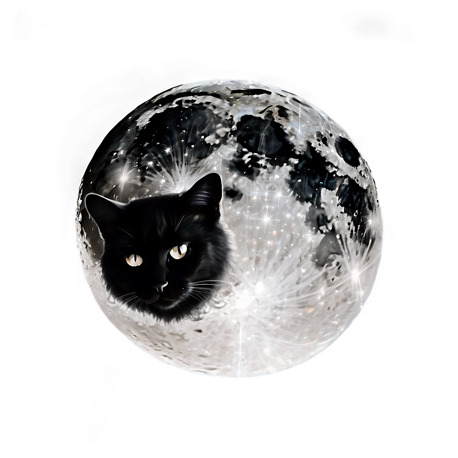 Black Moon And Cat Png Bhe59 PNG