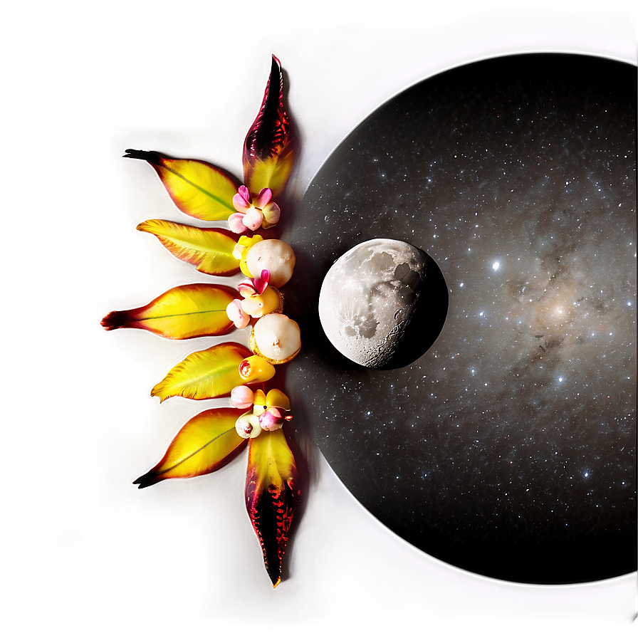 Black Moon Ritual Png 06252024 PNG