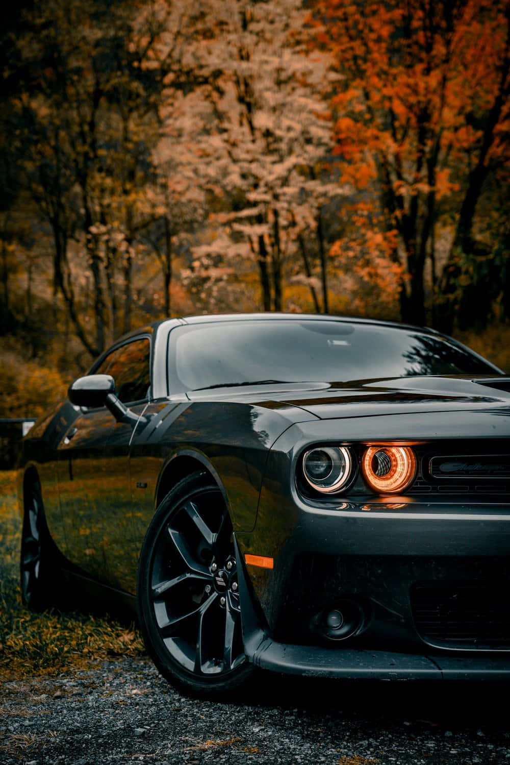Black Muscle Car Autumn Backdrop Wallpaper