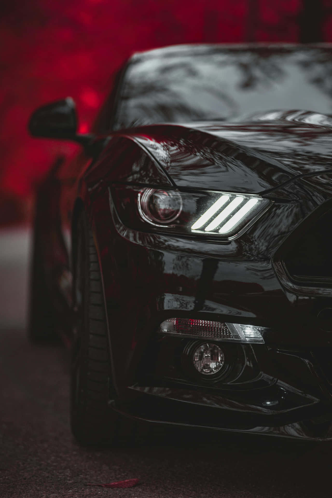 Black Mustang Red Backdrop Wallpaper