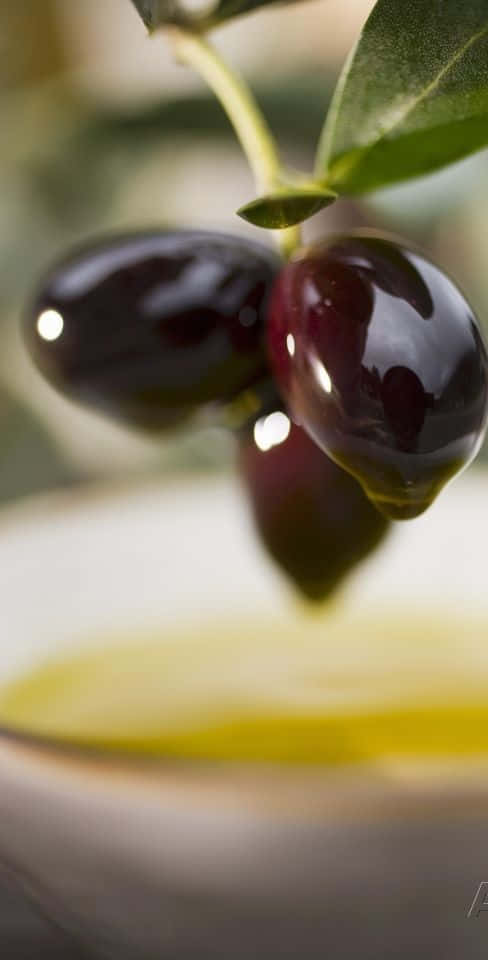 Perfectly Ripe Black Olives Wallpaper
