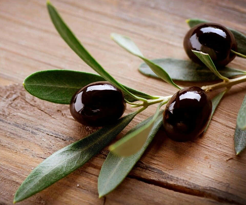 Enjoy the flavor of these freshly-picked black olives. Wallpaper