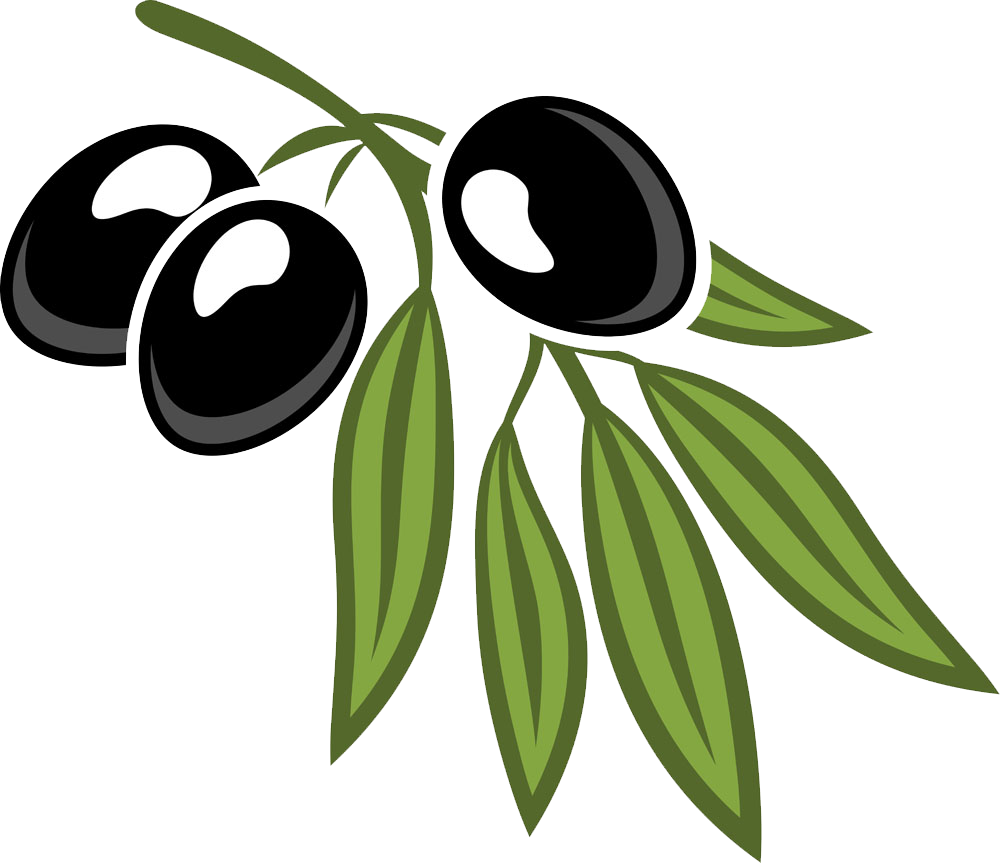 Black Olives Branch Illustration PNG