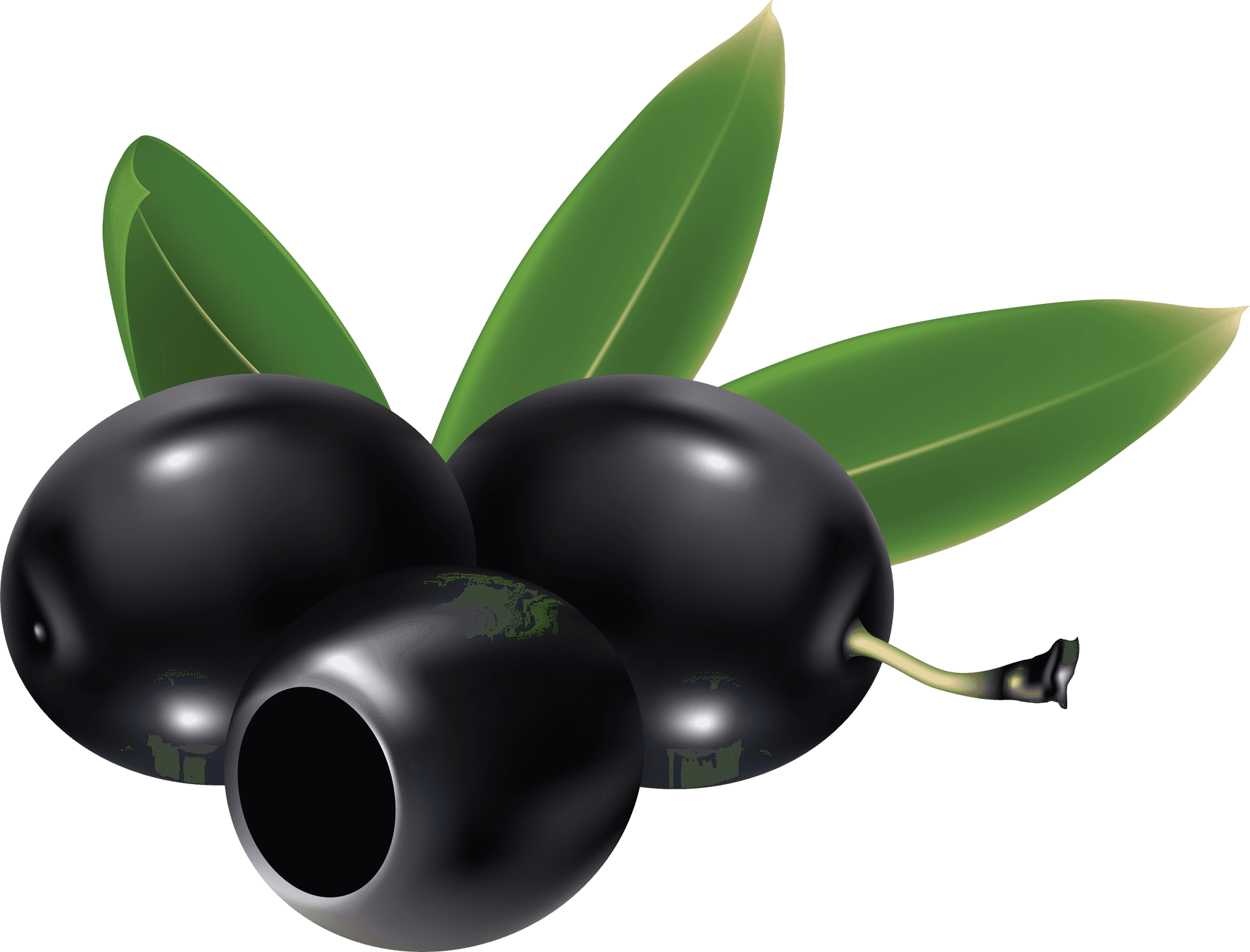 Black Oliveswith Leaves Graphic PNG