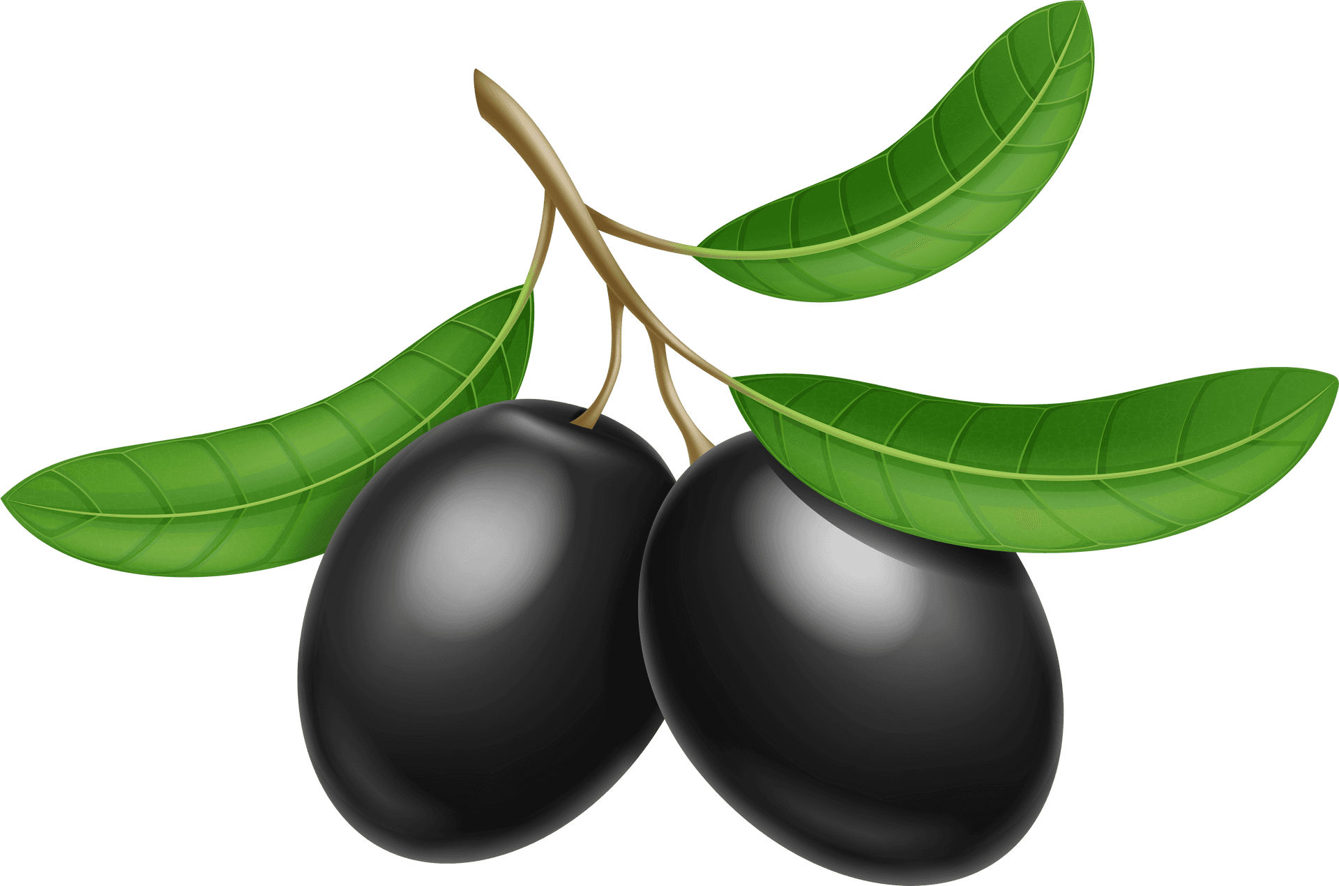 Black Oliveswith Leaves Illustration PNG