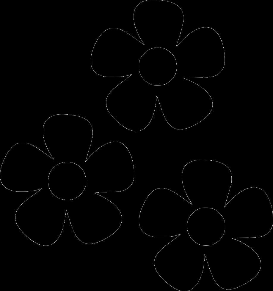 Black Outline Flowers Illustration PNG