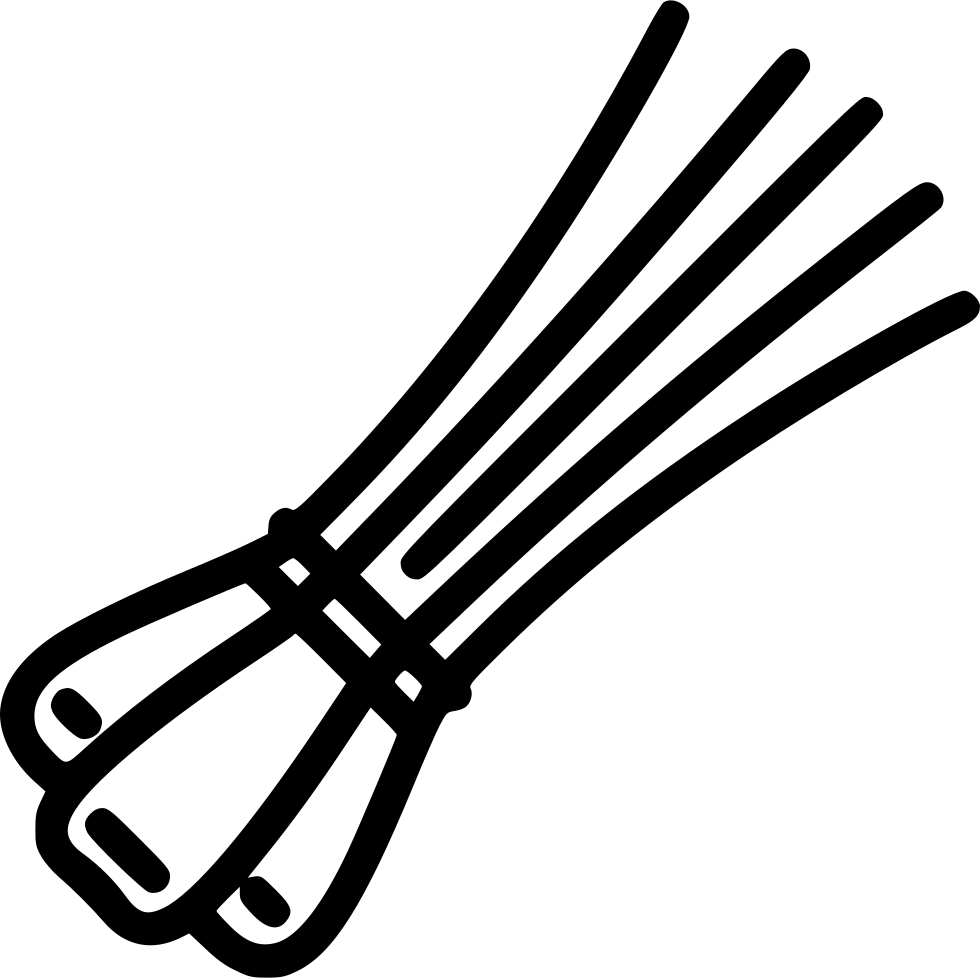 Black Outline Leeks Illustration PNG