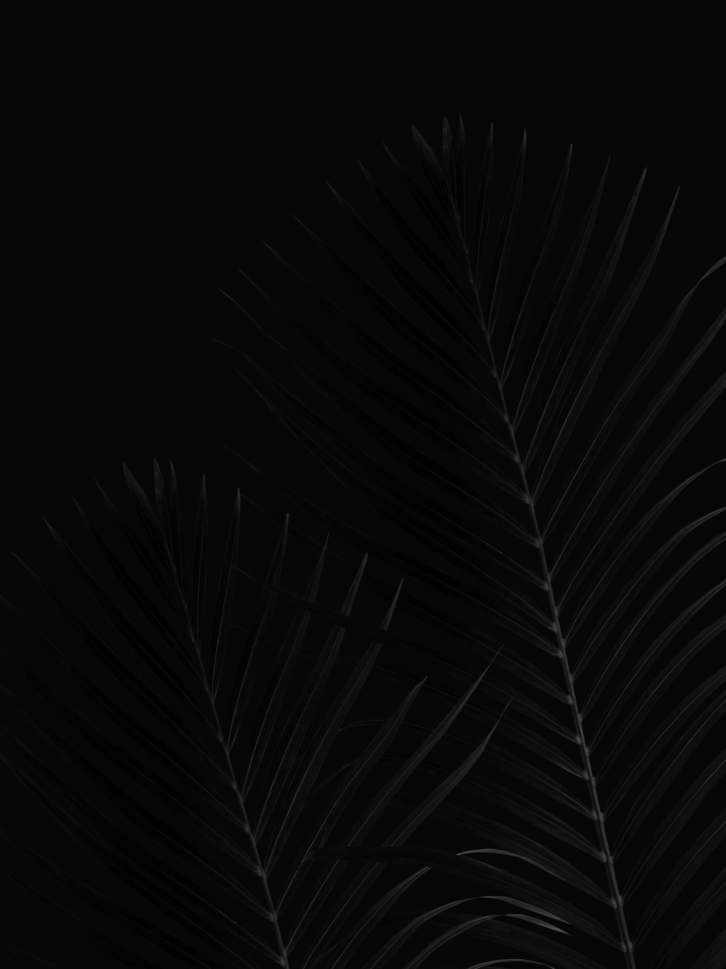 En lys sort side med en diskret tekstur. Wallpaper