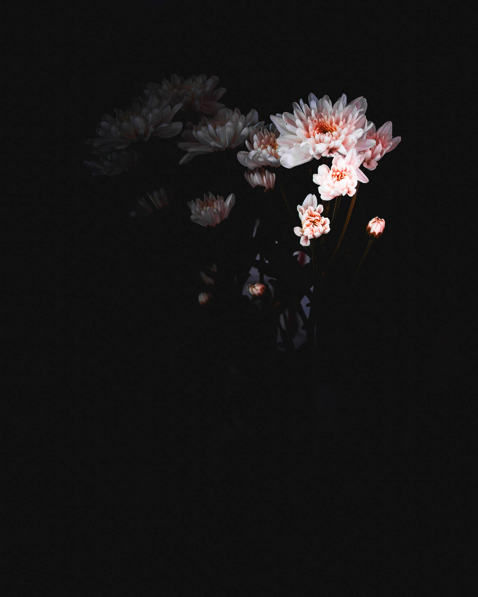 En vase med blomster i mørket Wallpaper
