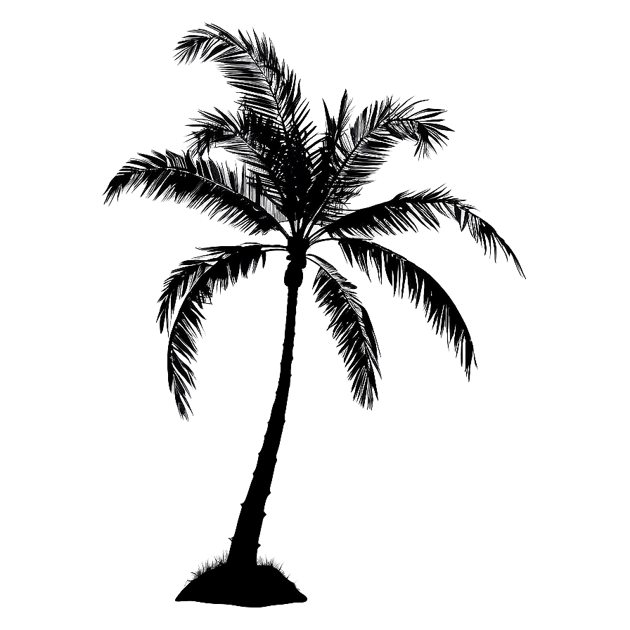 Black Palm Tree On Ocean Background Png Utd PNG