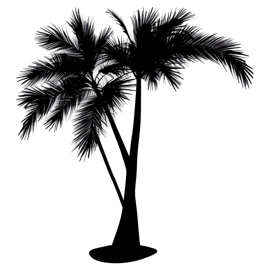 Black Palm Tree On Transparent Background Png Kad PNG