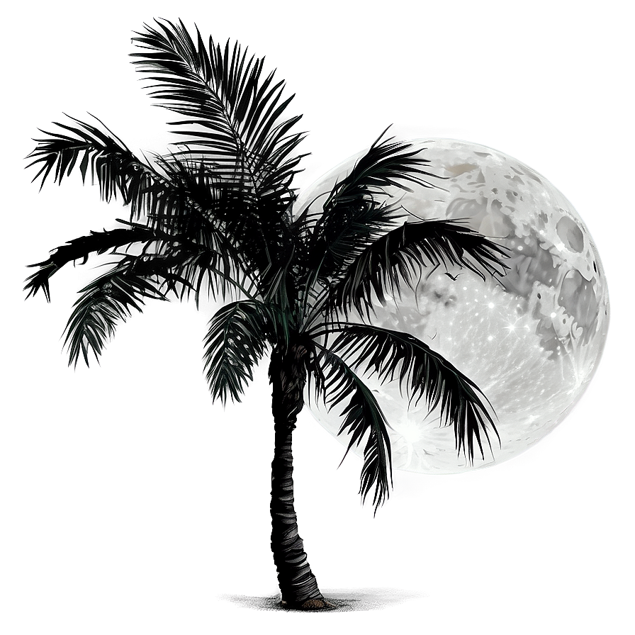 Black Palm Tree With Moon Png 06262024 PNG