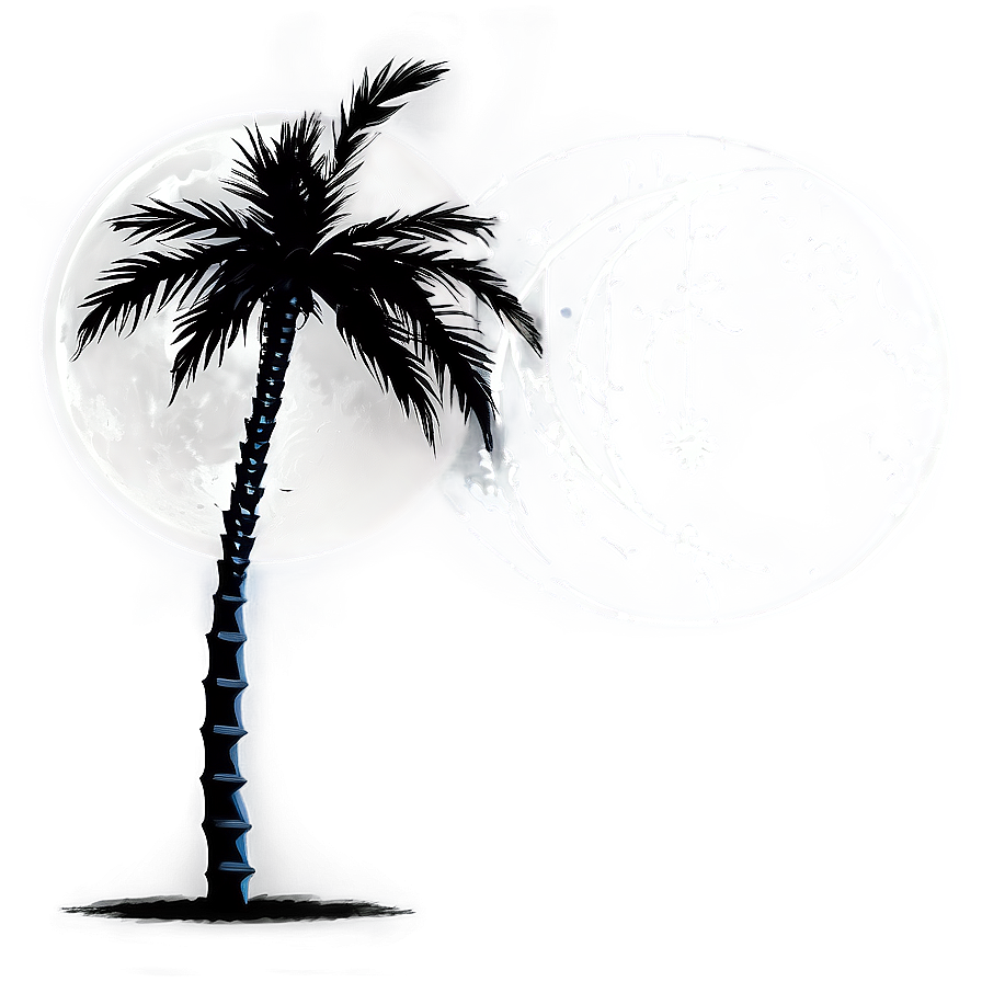 Black Palm Tree With Moon Png Ibk81 PNG