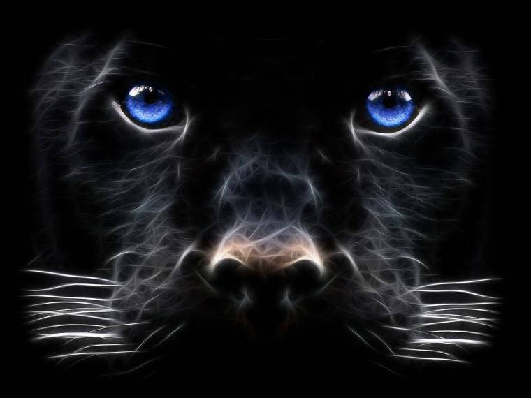 Black Panther Animal Art Wallpaper