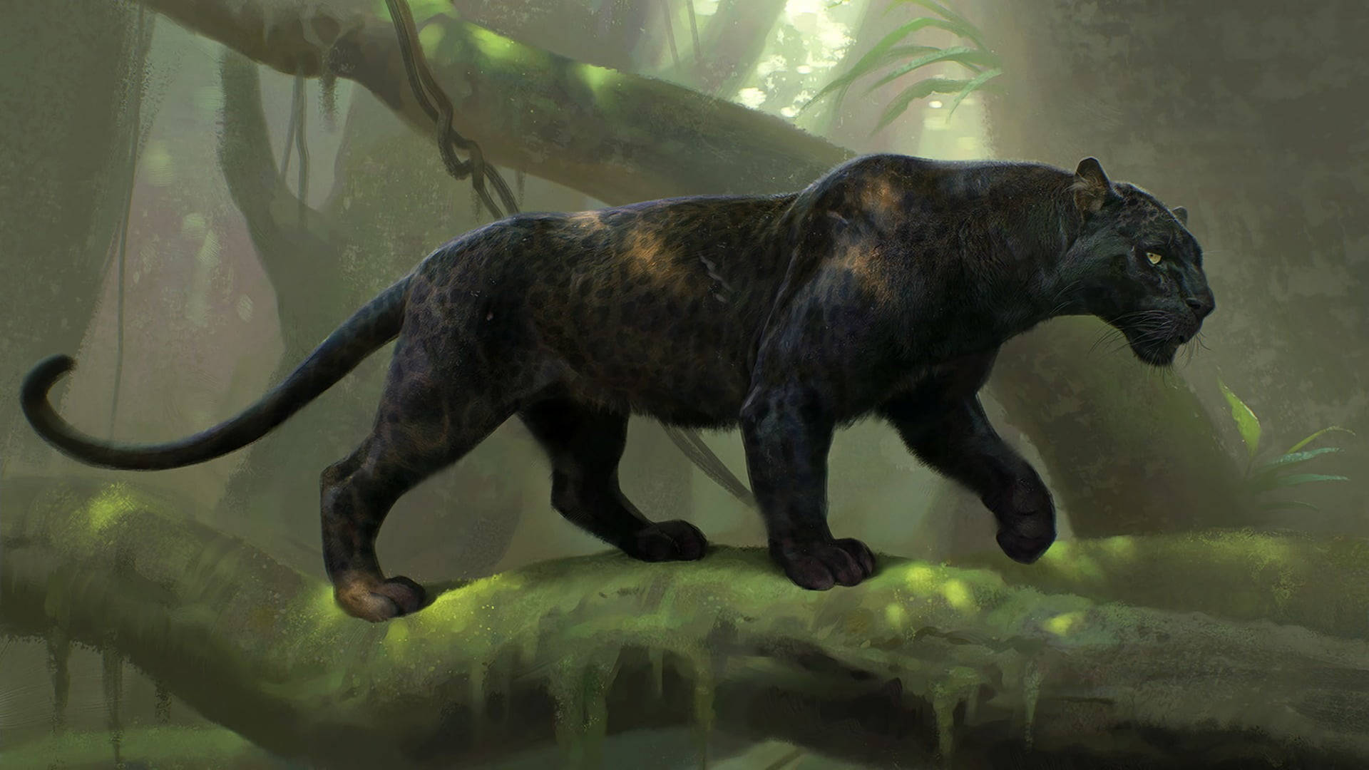 Black Panther Animal Fierce Wallpaper