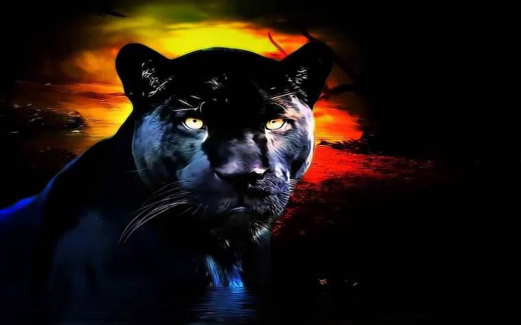 Black Panther Animal Sunset