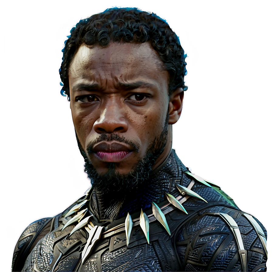 Black Panther Avengers Png Udo PNG