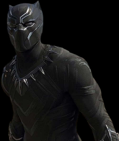 Black Panther Costume Portrait PNG