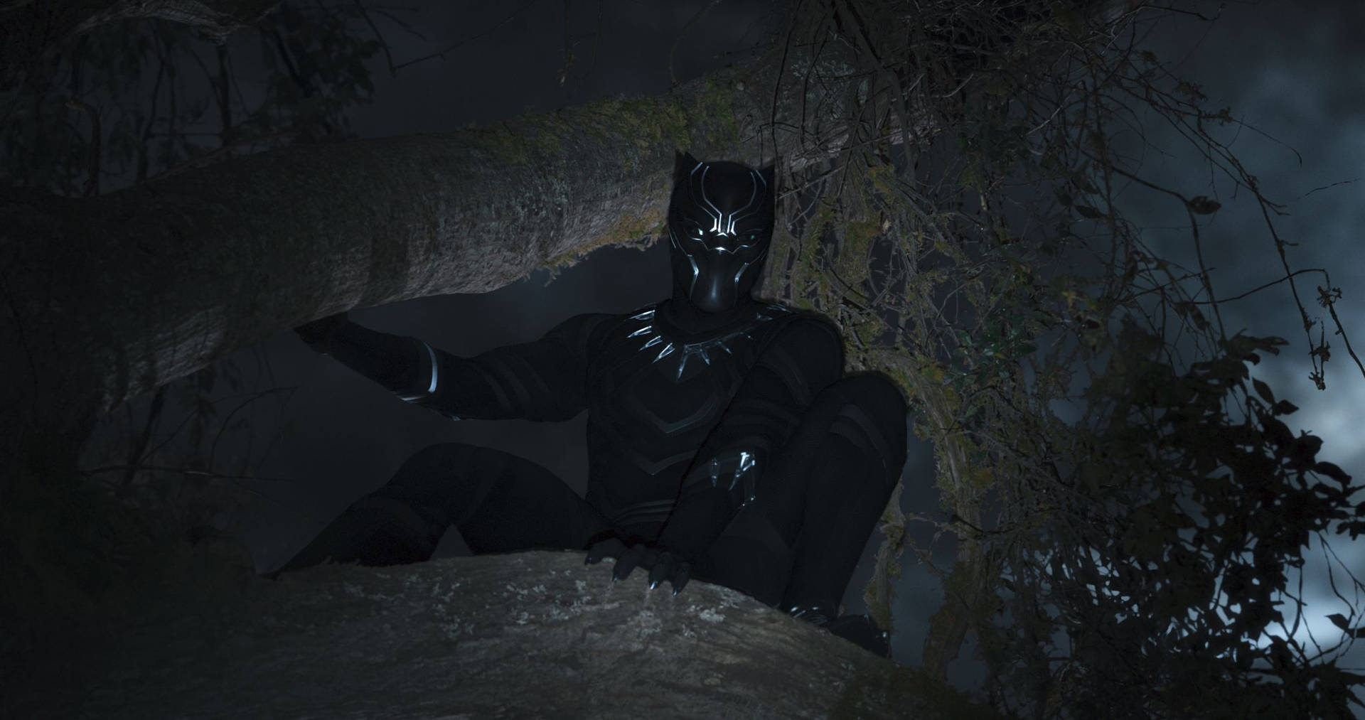 Black Panther Dark Forest Background