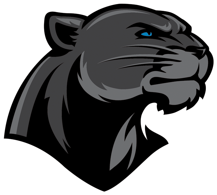 Black Panther Head Logo PNG