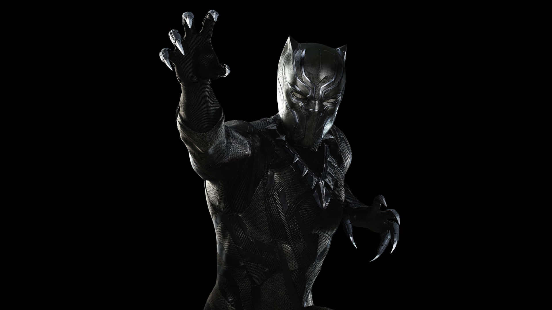 Share the Wild Beauty of Black Panther Country Wallpaper