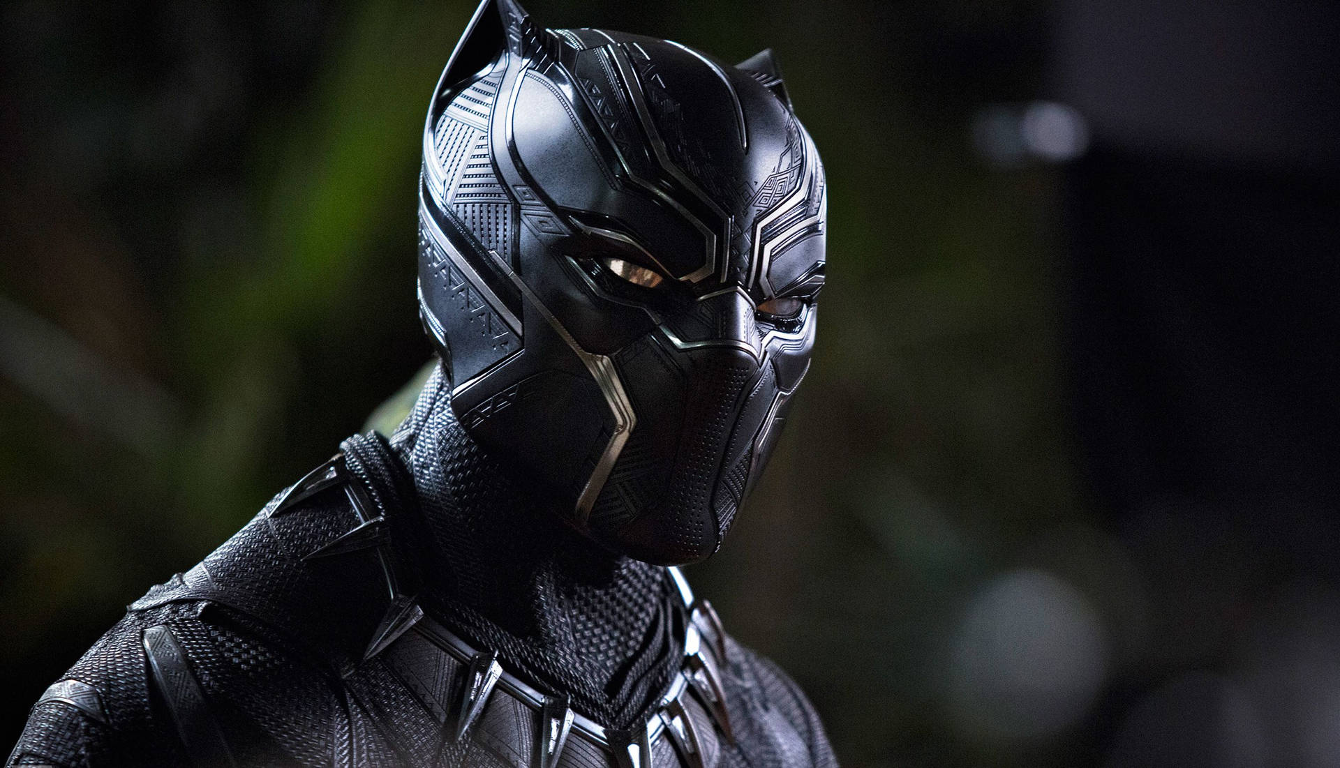 Black Panther Movie Looks Wallpaper