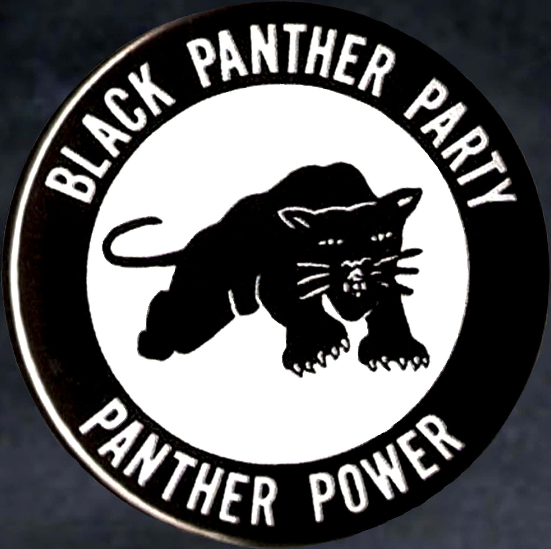 Black Panther Party Demo Wallpaper