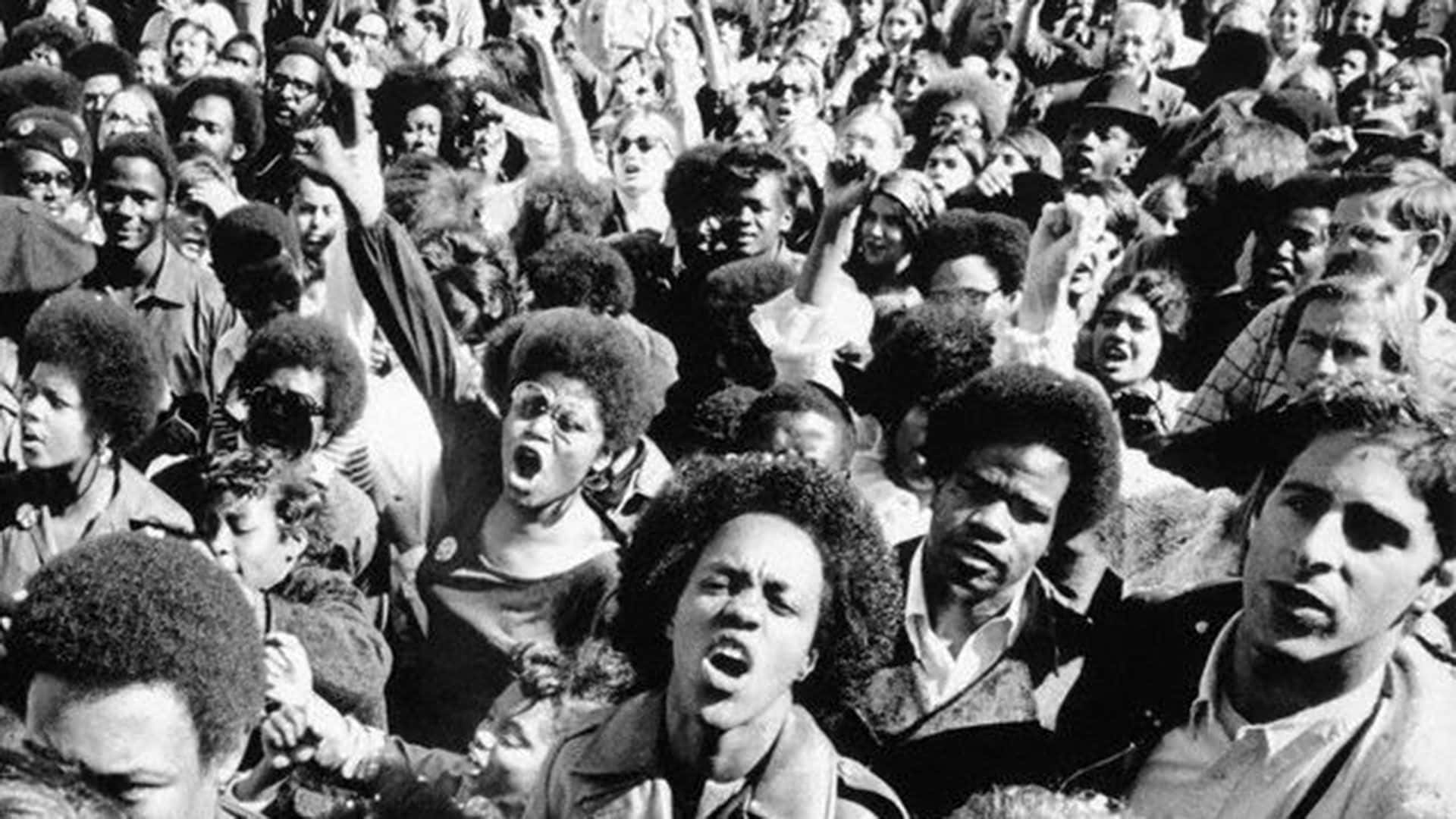 The Black Panther Party: Changing the Course of History in the 1960s Wallpaper