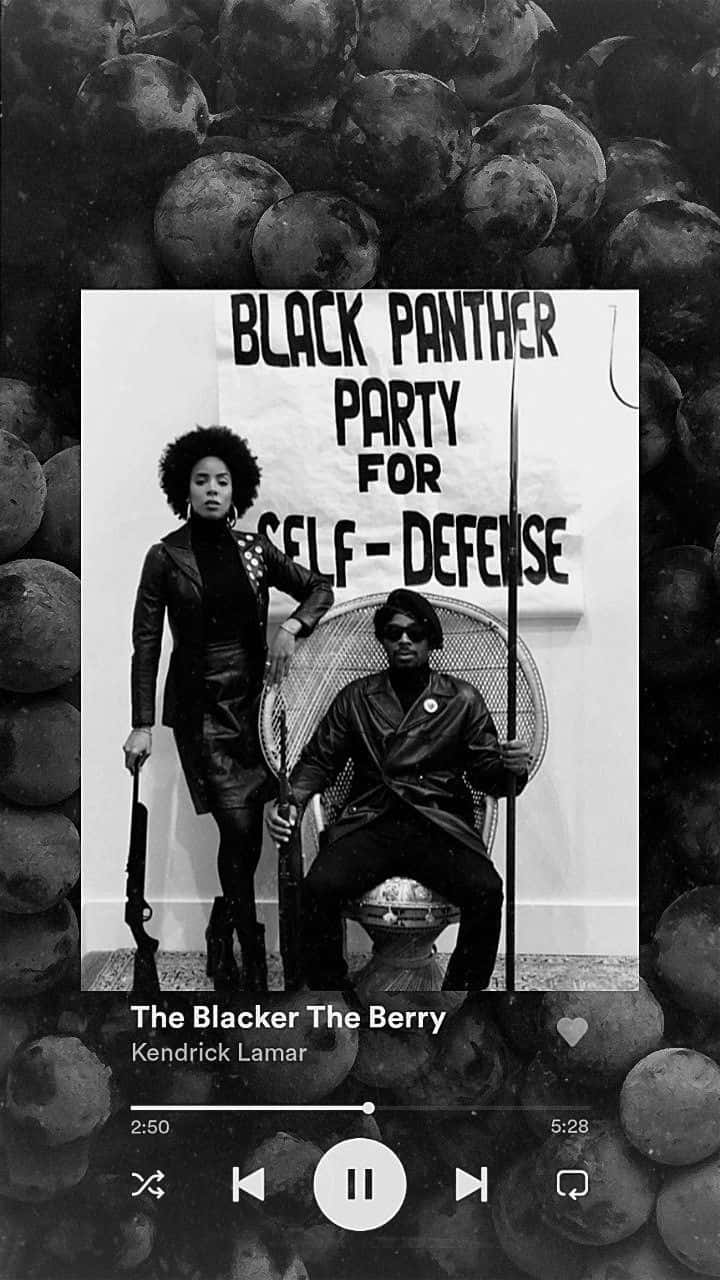 Powerful members of the Black Panther Party pose with raised fists Wallpaper