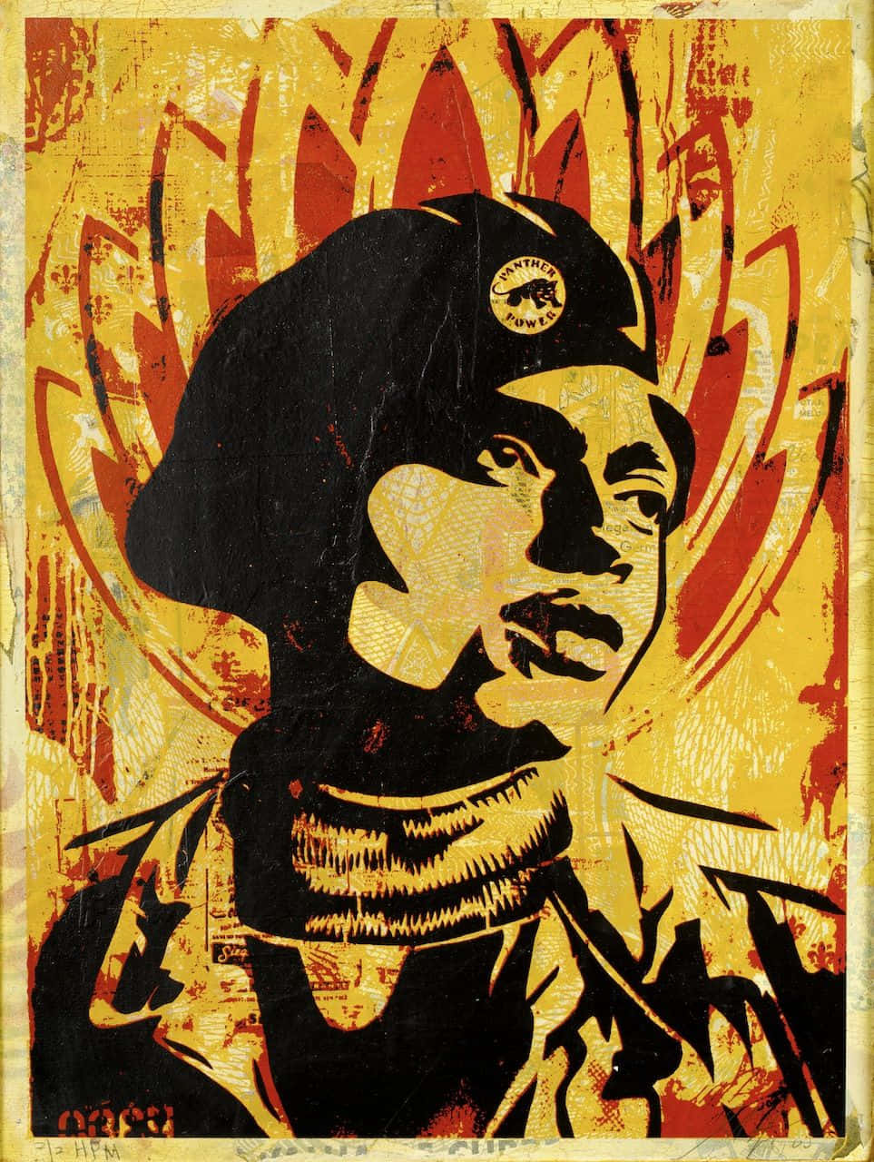 The Black Panther Party: Empowering African-Americans to Stand Up for their Rights Wallpaper