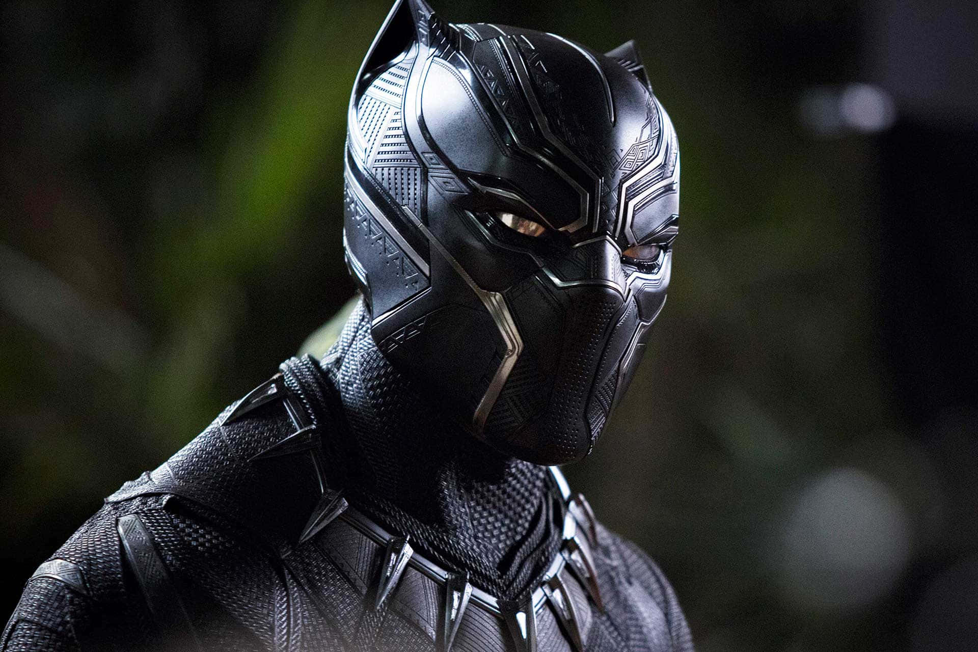 Black Panther Pictures