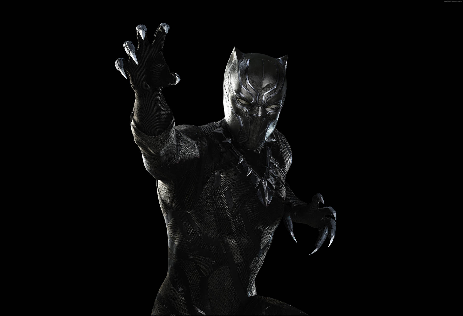 T'Challa suits up as the Black Panther Wallpaper