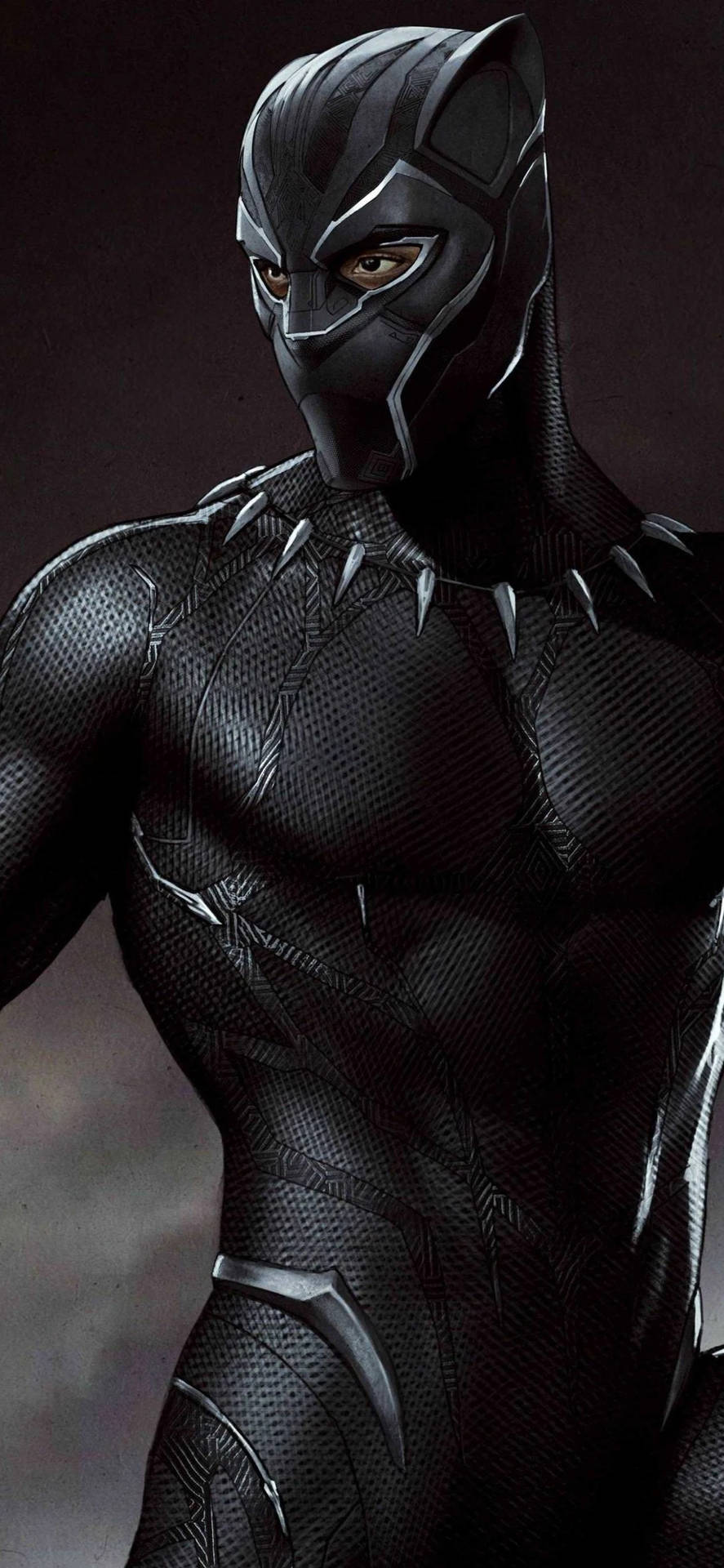 Black Panther Superhero 2018 Marvel Movie Background