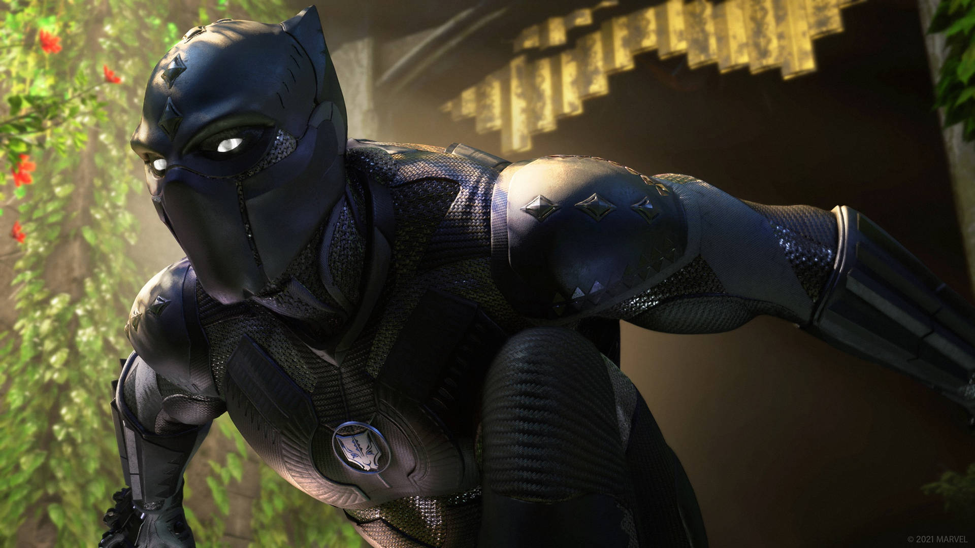 Black Panther Superhero King T'challa Background