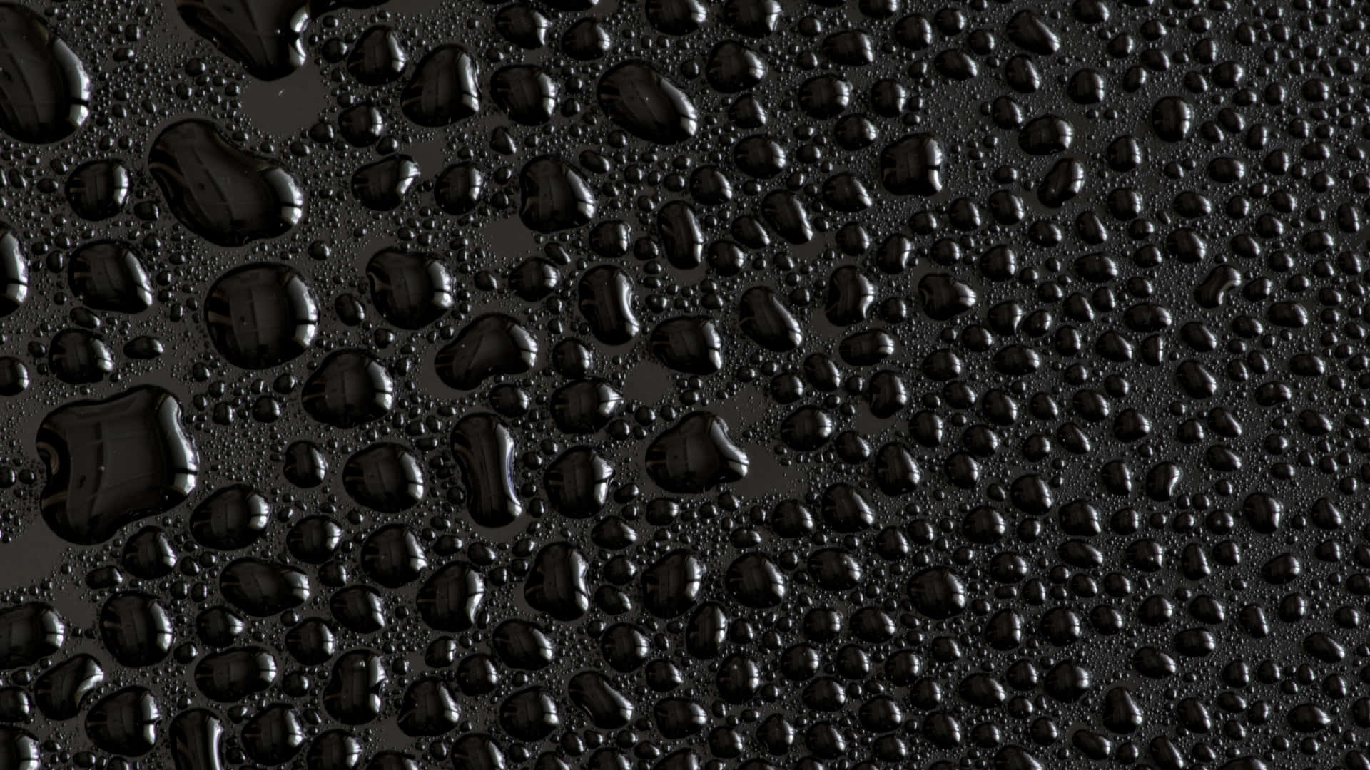 Water Drops On A Black Surface