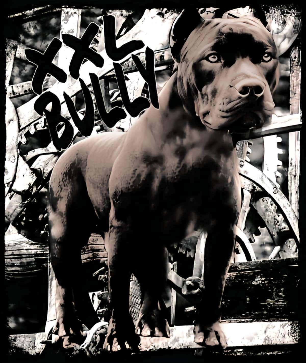 Massive Black Pitbull With Graffiti Wallpaper