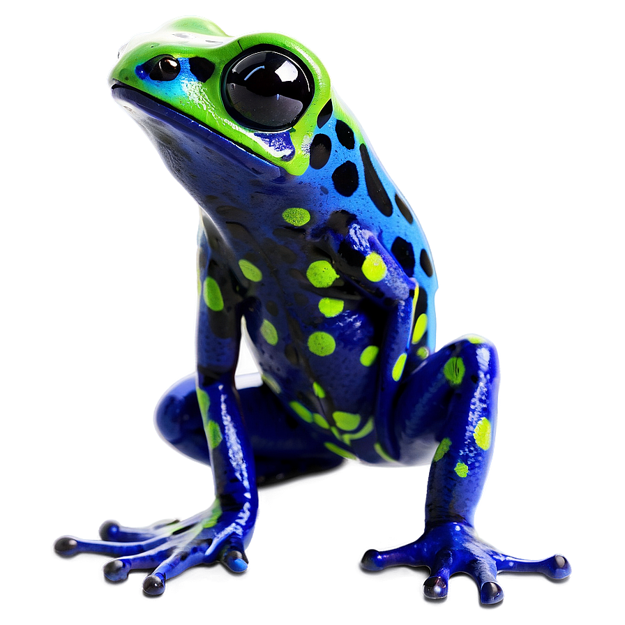 Black Poison Dart Frog Png Mee PNG