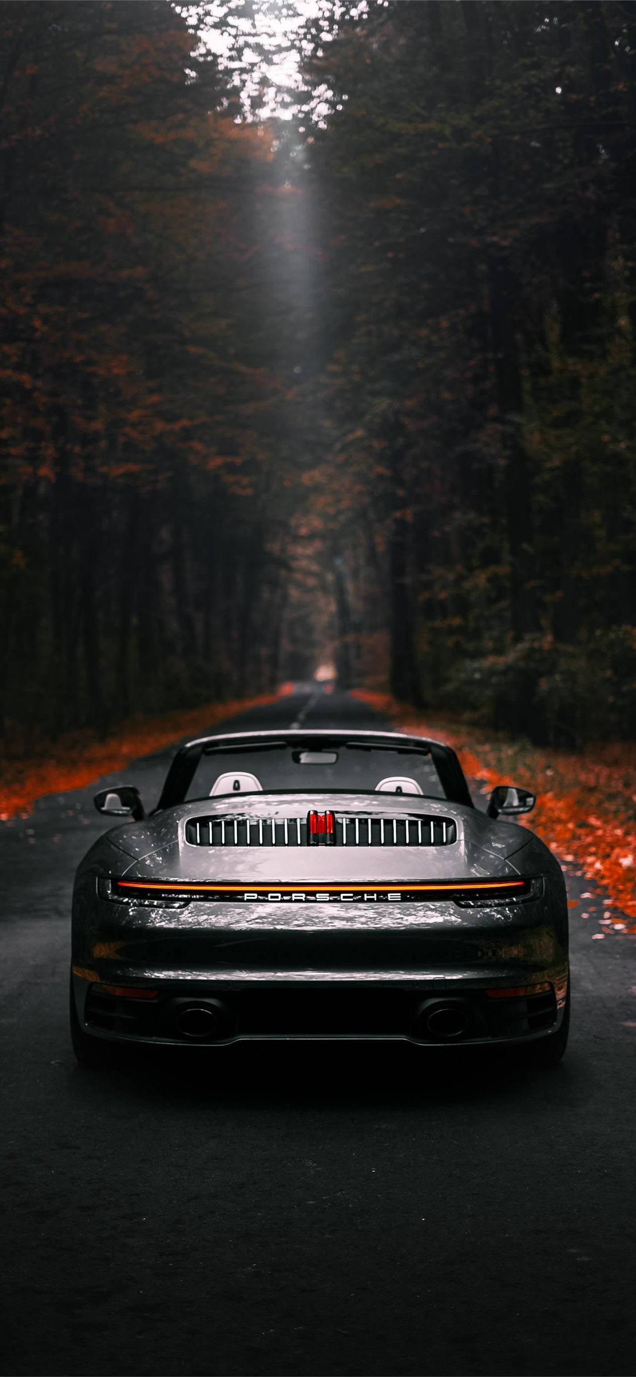 Black Porsche 911 Driving In Autumn Wallpaper