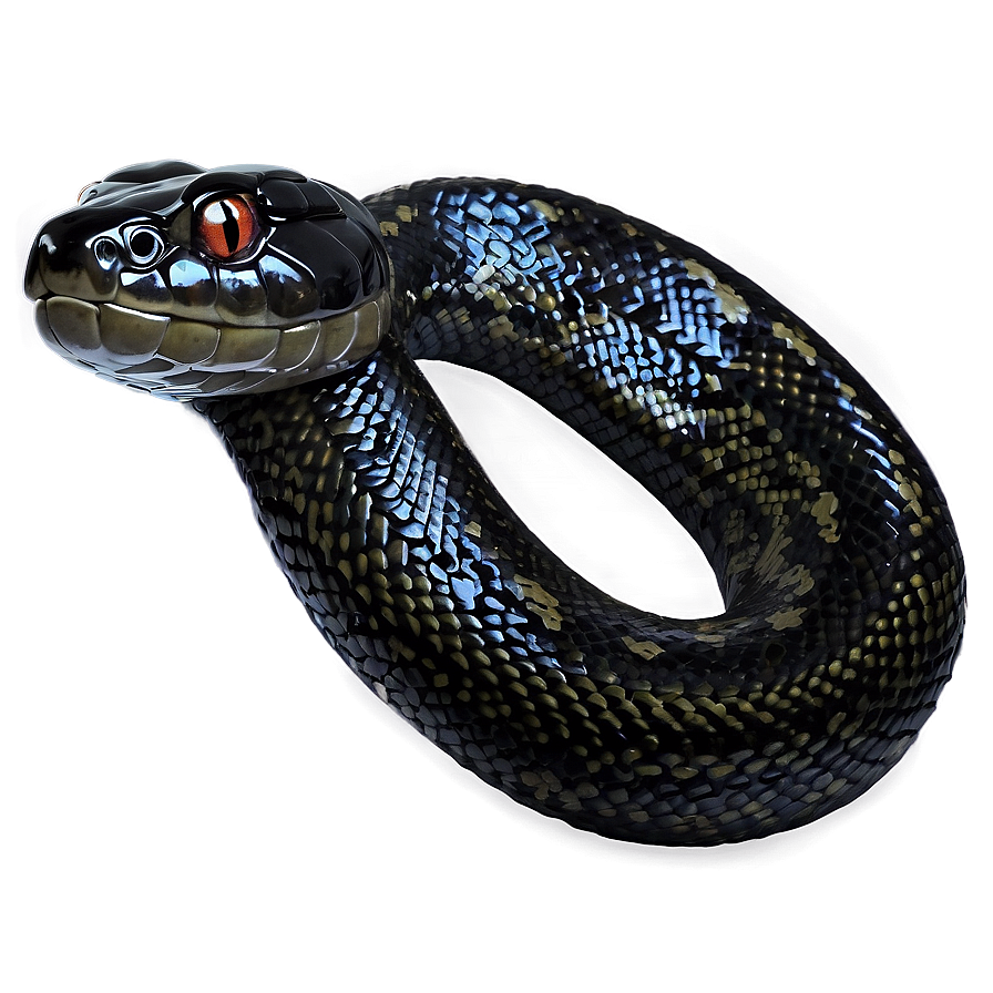 Black Python Illustration Png 64 PNG