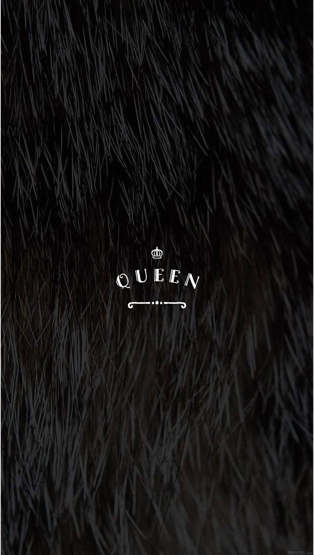 Black Queen In Abstract Furry Background Wallpaper