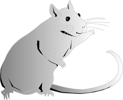 Black Rat Silhouette PNG