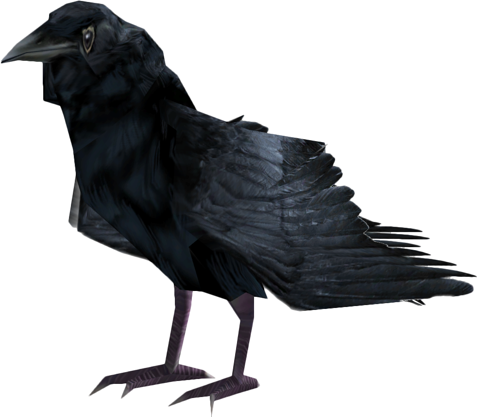 Black Raven Profile PNG