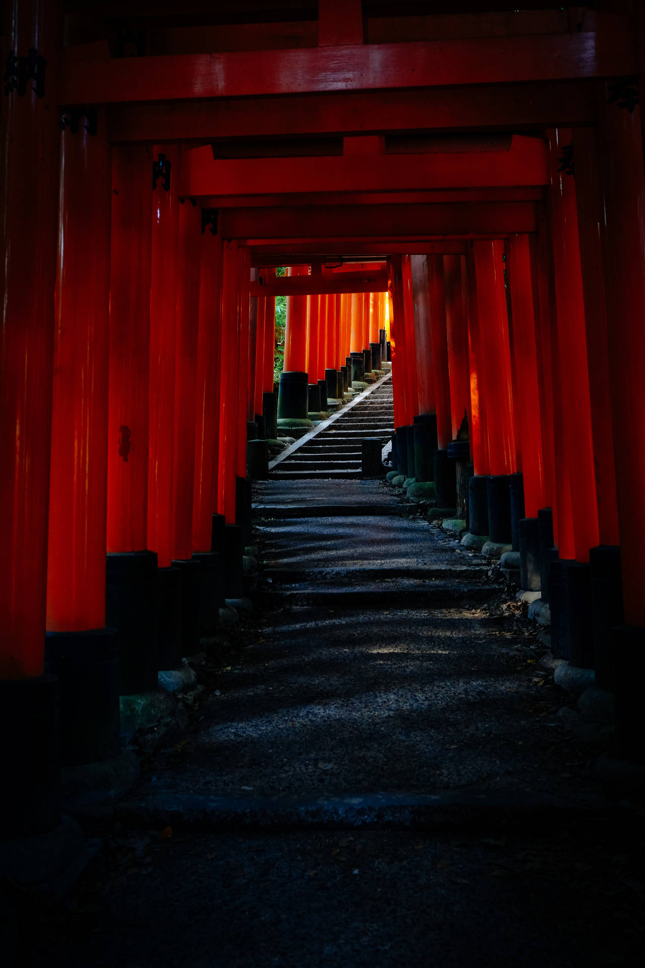 Black Red 4k Fushimi Inari