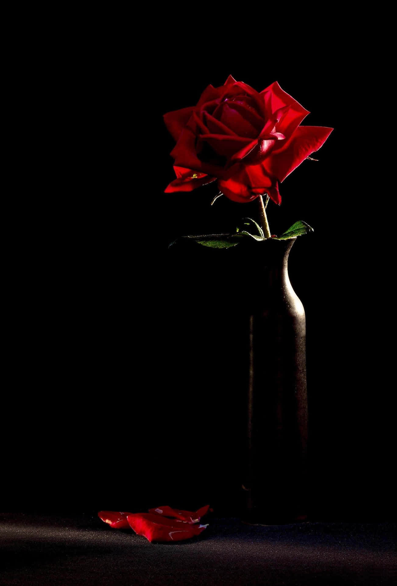 Aesthetic Tumblr Black Roses black rose tumblr HD wallpaper  Pxfuel