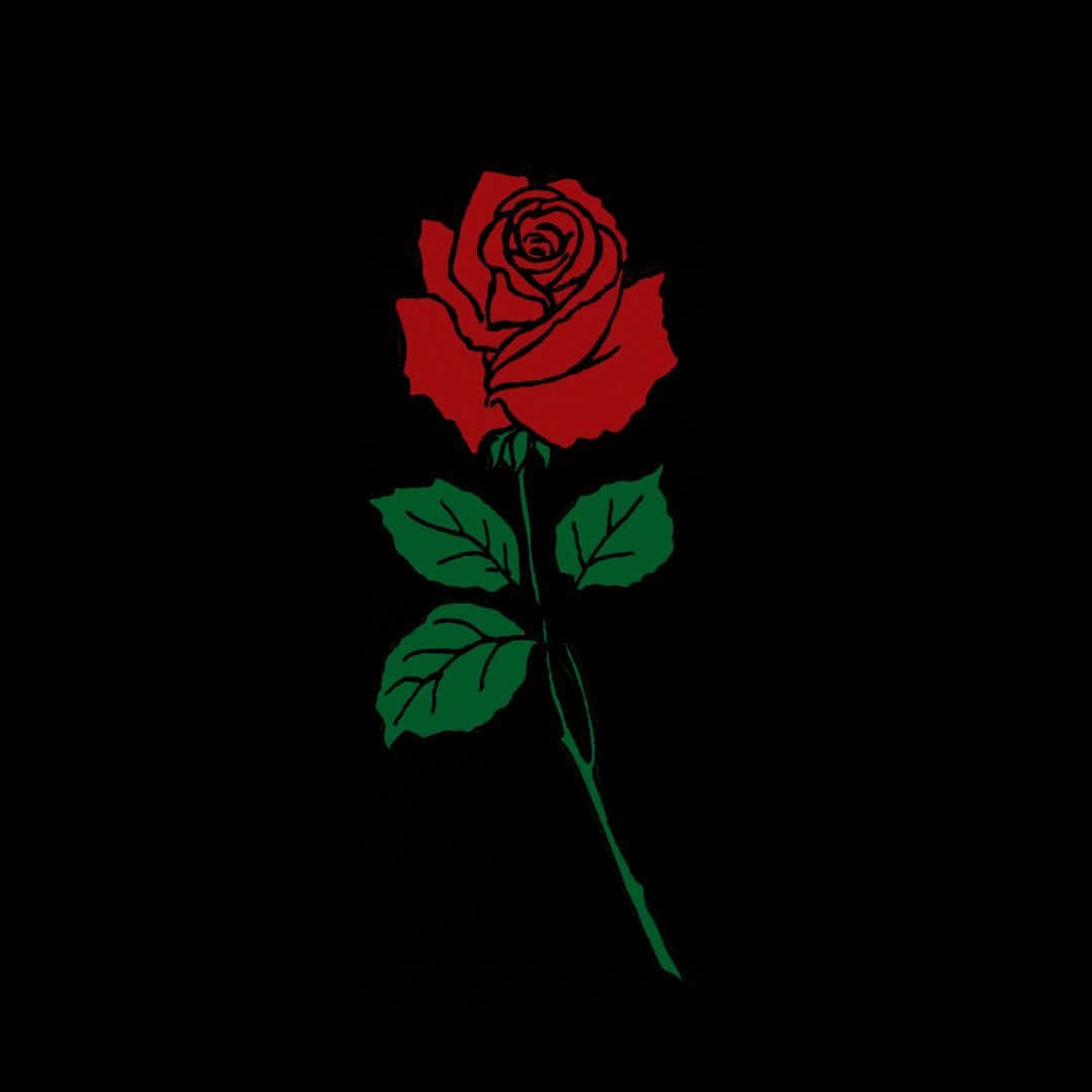 "A single black rose - standing out against the crowd." Wallpaper