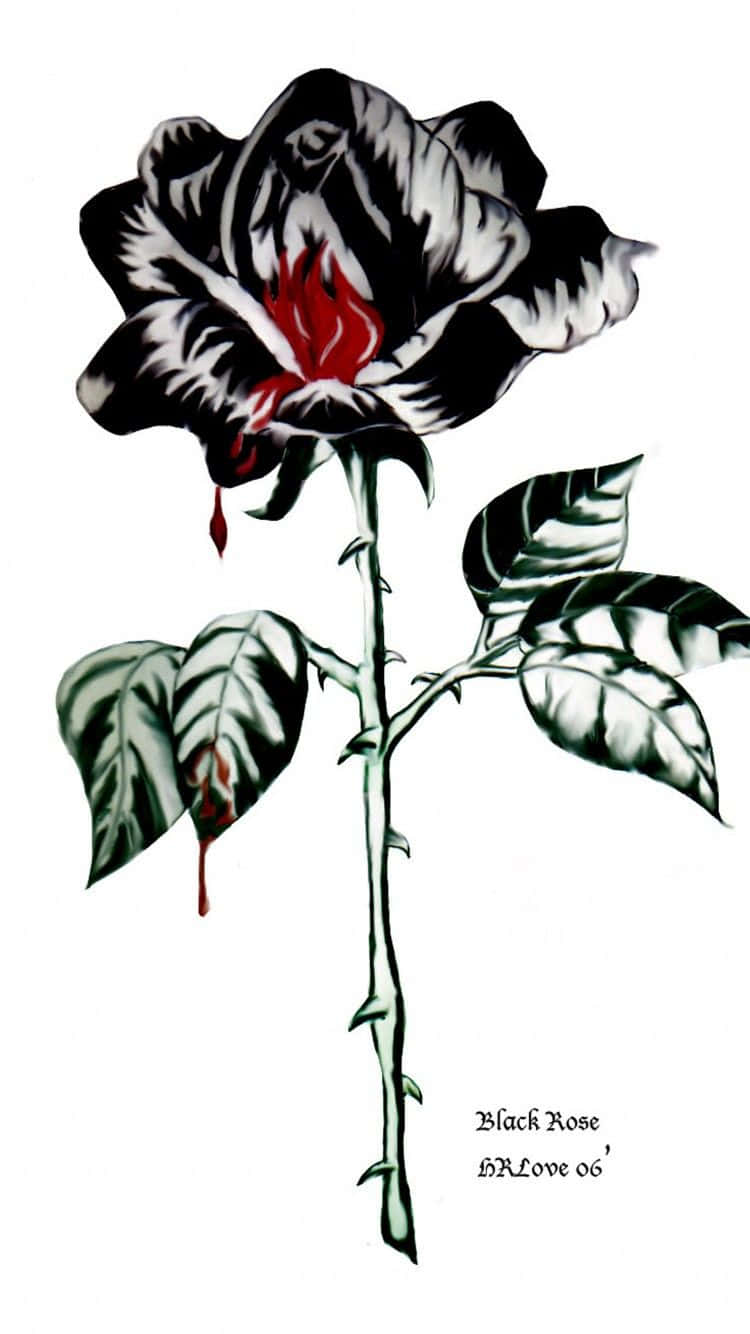 Aesthetic Black Roses Wallpapers  Wallpaper Cave