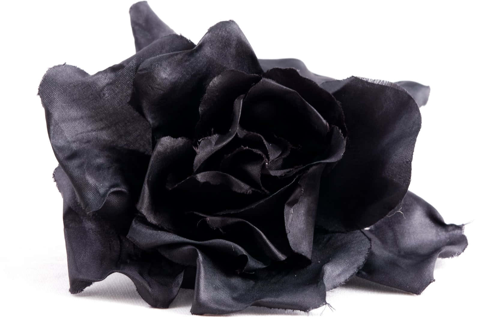 Abrazala Belleza De Una Rosa Negra.