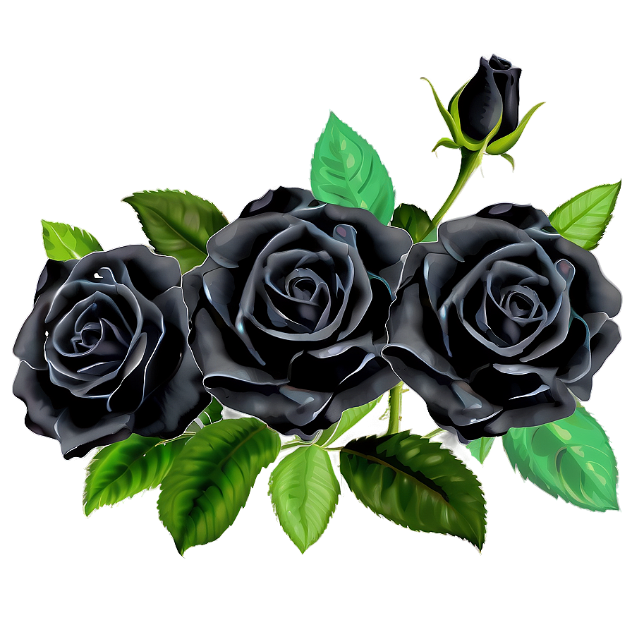 Black Roses Garden Png 06212024 PNG