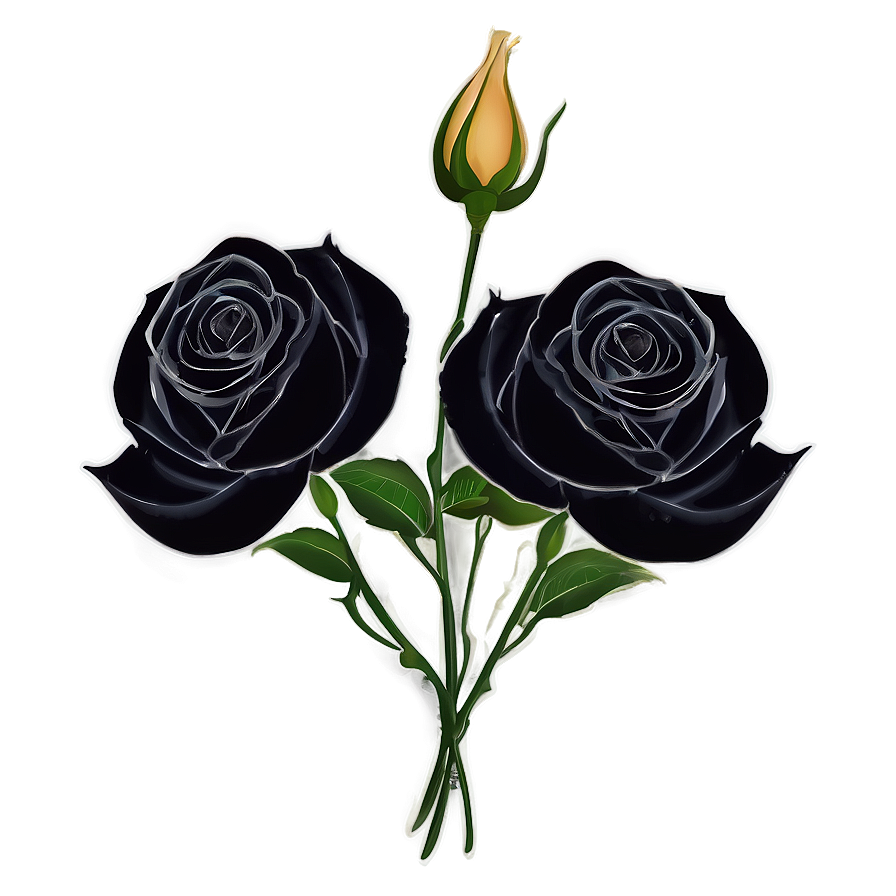 Black Roses Illustration Png Whn80 PNG