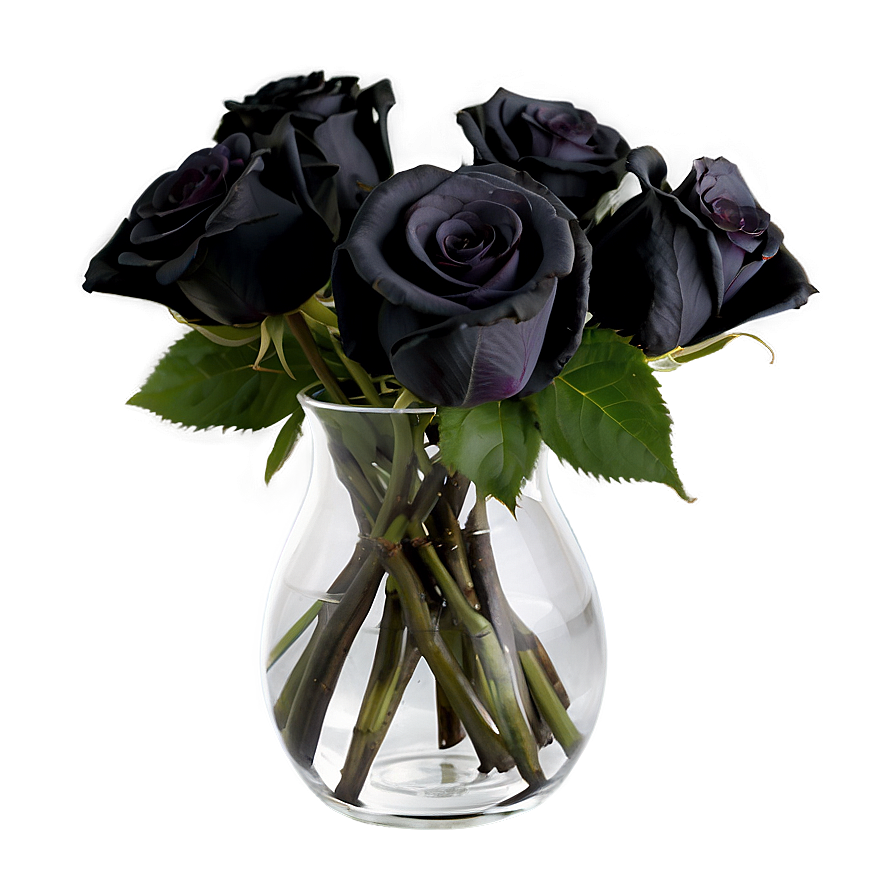 Black Roses In Vase Png 48 PNG